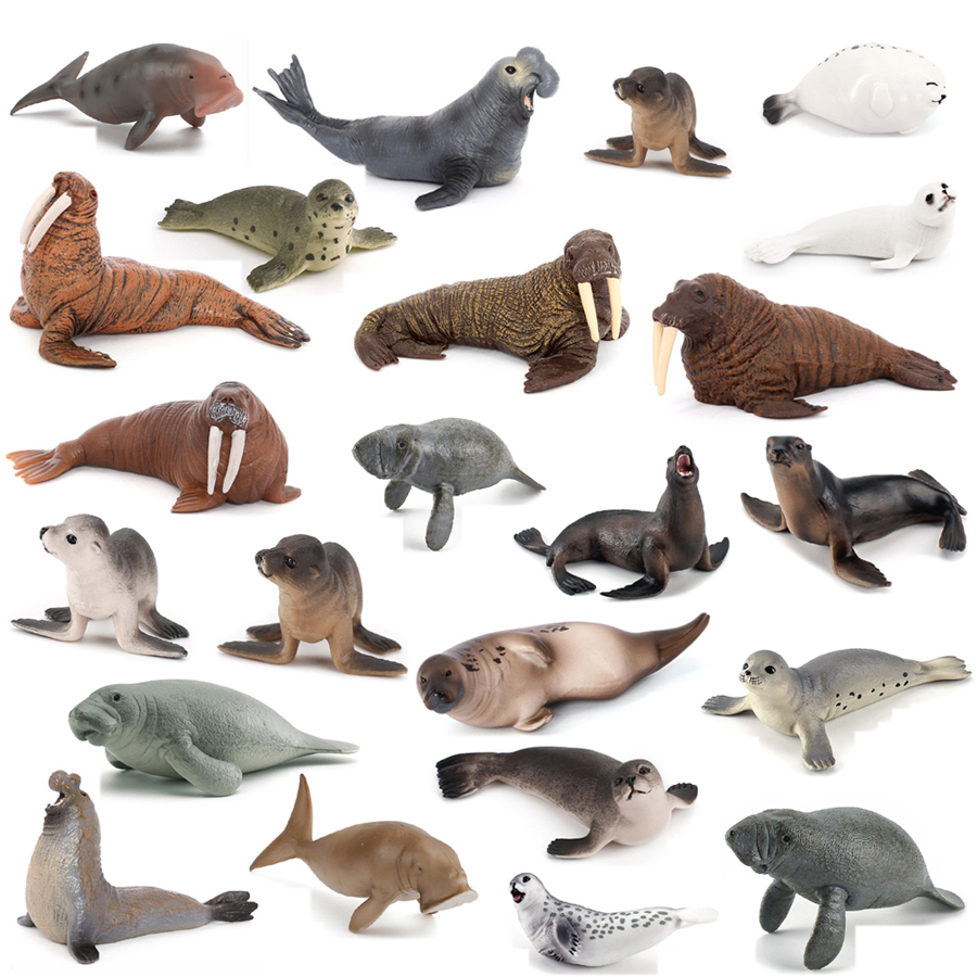 Realistic Dugong Manatee Walru - đánh giá và giá Kids Educational Gadget