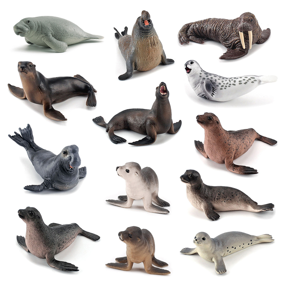 Realistic Dugong Manatee Walru - đánh giá và giá Kids Educational Gadget