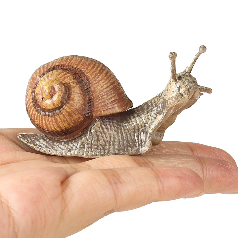 Oenux Wild Insect Animals Snai - đánh giá và giá Kids Educational Gadget