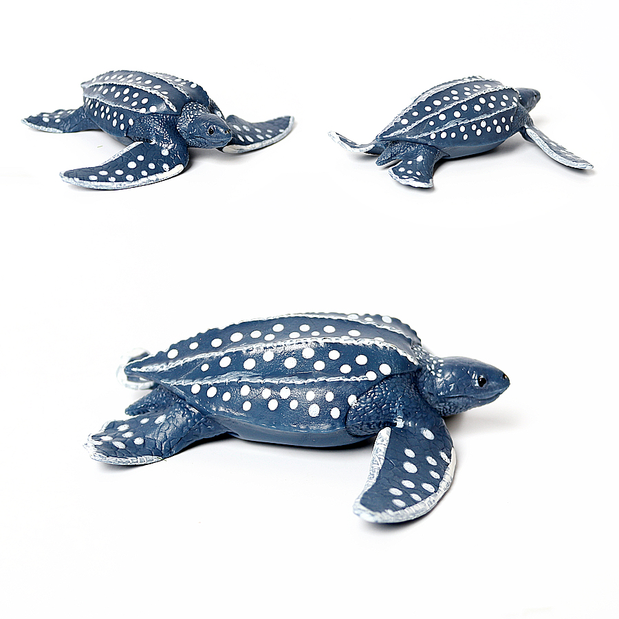 Simulation Chinese Softshell L - đánh giá và giá Kids Educational Gadget