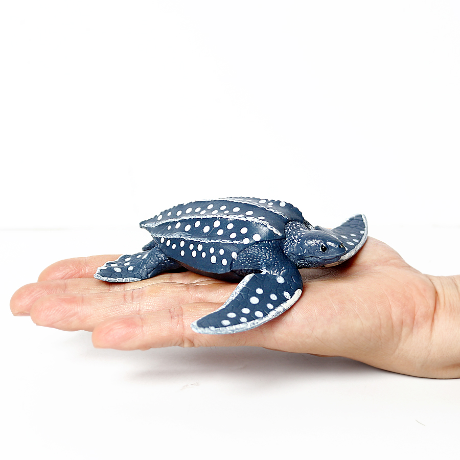 Simulation Chinese Softshell L - đánh giá và giá Kids Educational Gadget