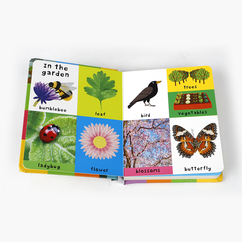 First 100 Nature Words Board B - đánh giá và giá Sight Word Game