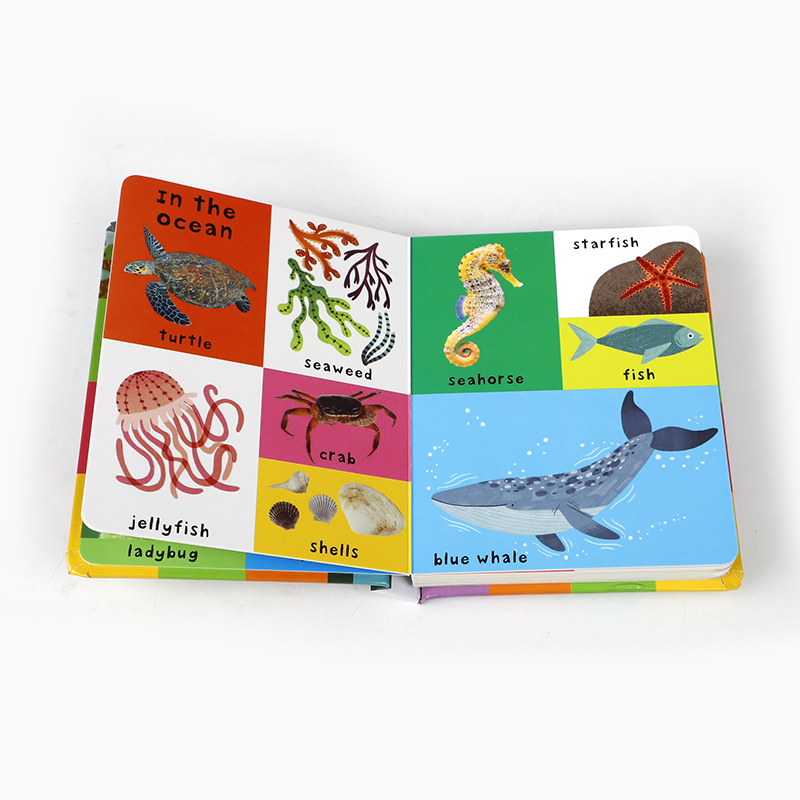 First 100 Nature Words Board B - đánh giá và giá Sight Word Game