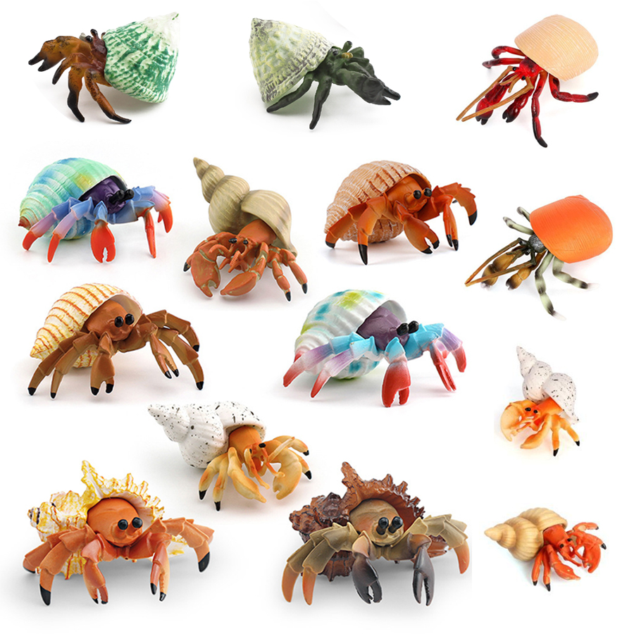 Realistic Hermit Crab Figurine - đánh giá và giá Kids Educational Gadget