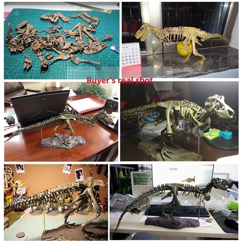Dinosaur Fossil Toy Tyrannosau - đánh giá và giá Kids Educational Gadget