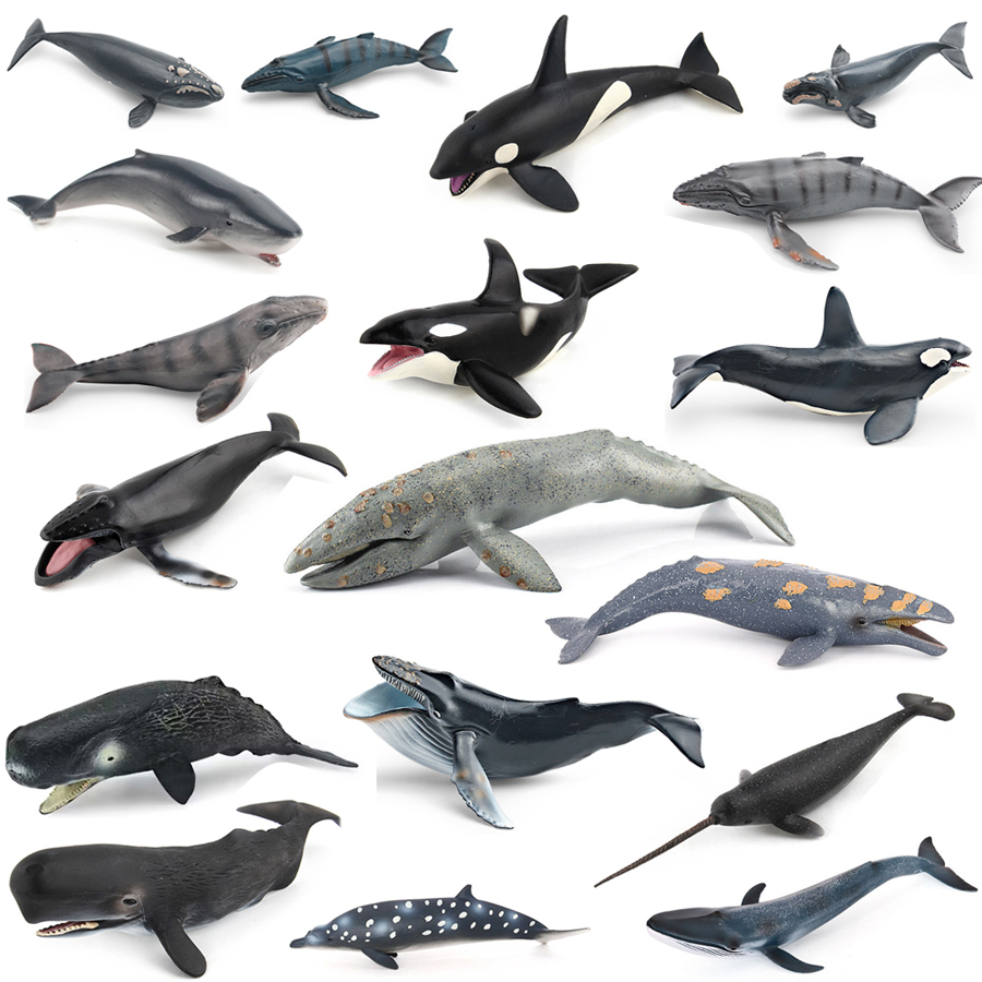 Realistic Humpback Whale Sperm - đánh giá và giá Kids Educational Gadget