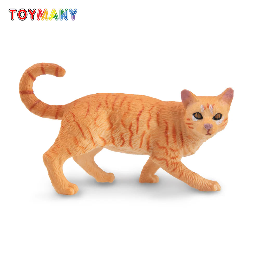 Toymany Simulation Striding Or - đánh giá và giá Kids Educational Gadget
