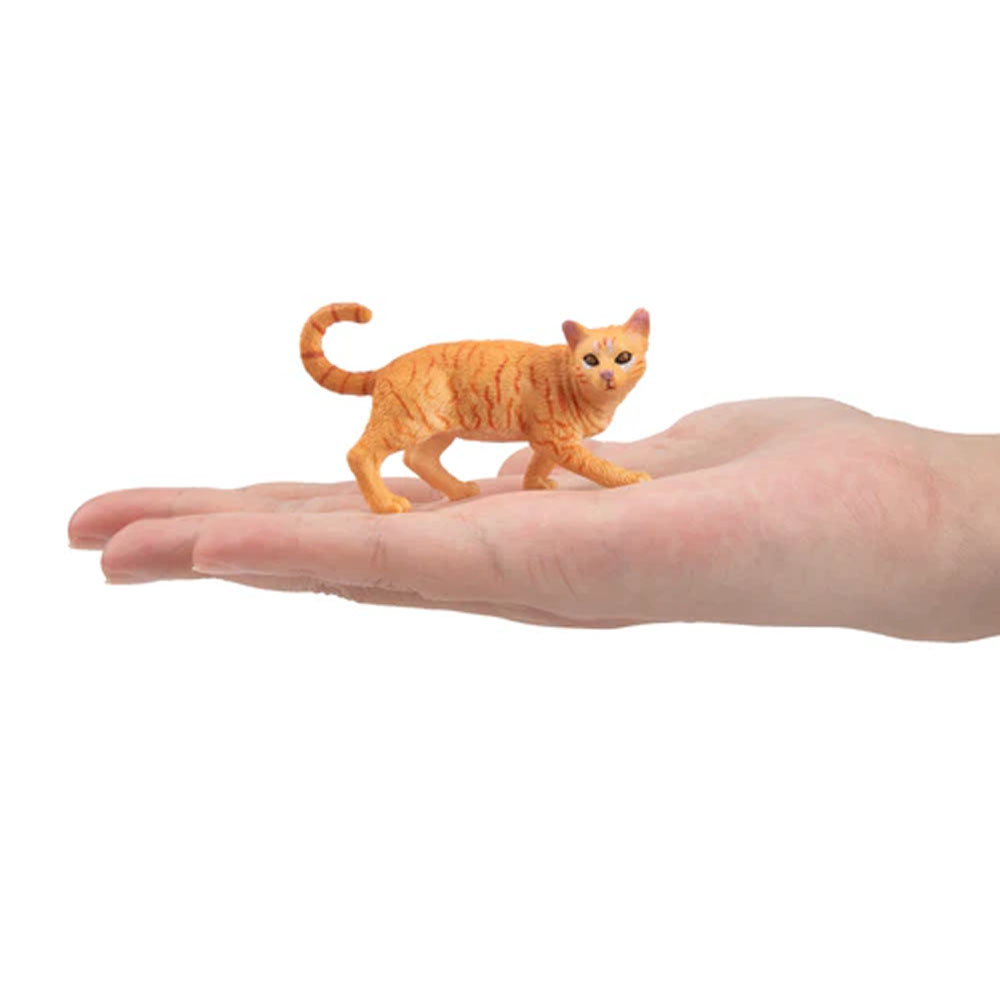 Toymany Simulation Striding Or - đánh giá và giá Kids Educational Gadget