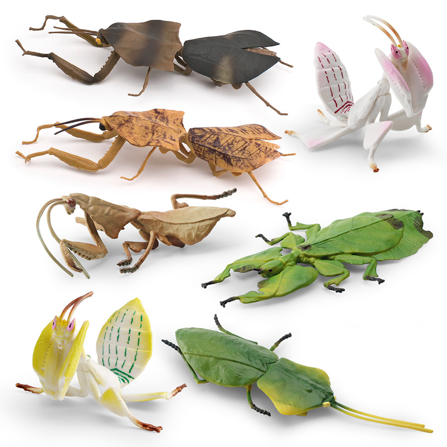 Realistic Orchid Mantis Dead L - đánh giá và giá Orchid Kids Education